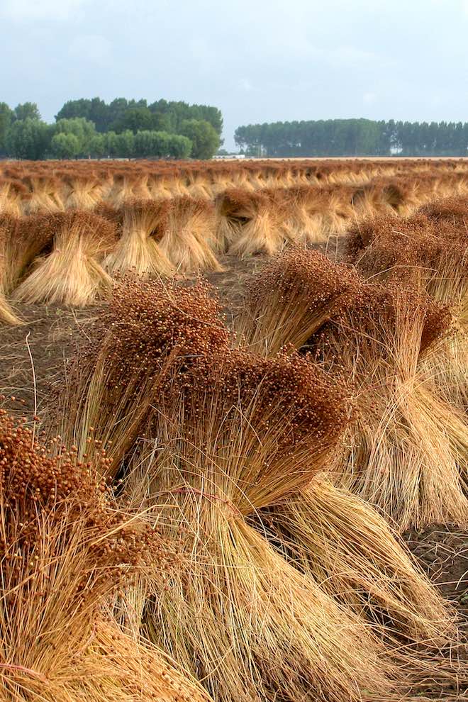 174477456525414bc3a92a5a09ba7