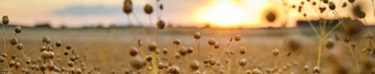 1744774565225cd3d3b1d29a8db7b